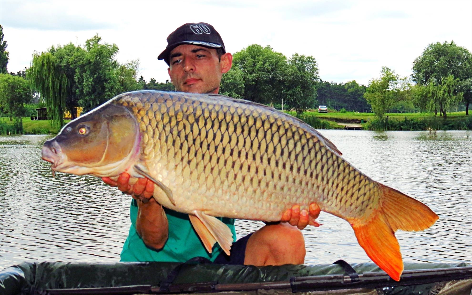 Palici - 005-img5655-1441-kg.jpg